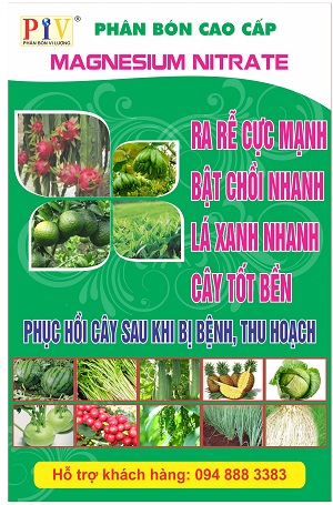 Phân bón cao cấp Magneisum Nitrate